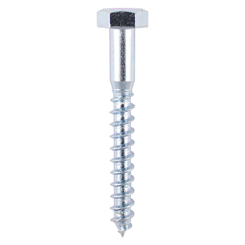 Coach Screw - Zinc