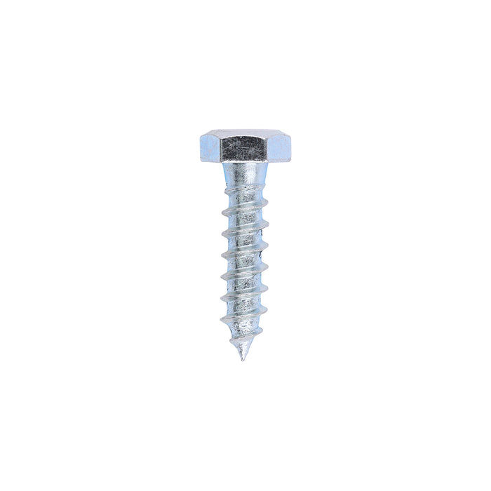 Coach Screws - Hex - Zinc