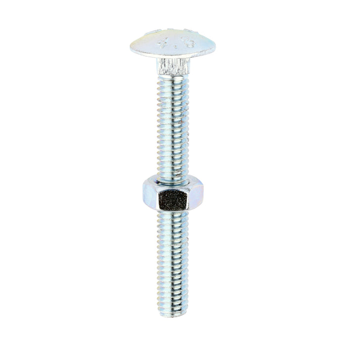 Carriage Bolts & Hex Nuts - Zinc