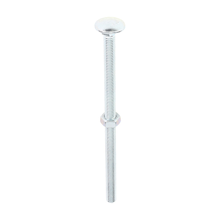 Carriage Bolts & Hex Nuts - Zinc