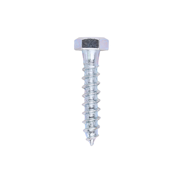 Coach Screws - Hex - Zinc