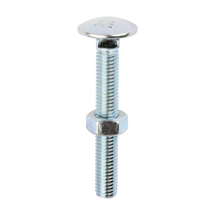 Carriage Bolts & Hex Nuts - Zinc