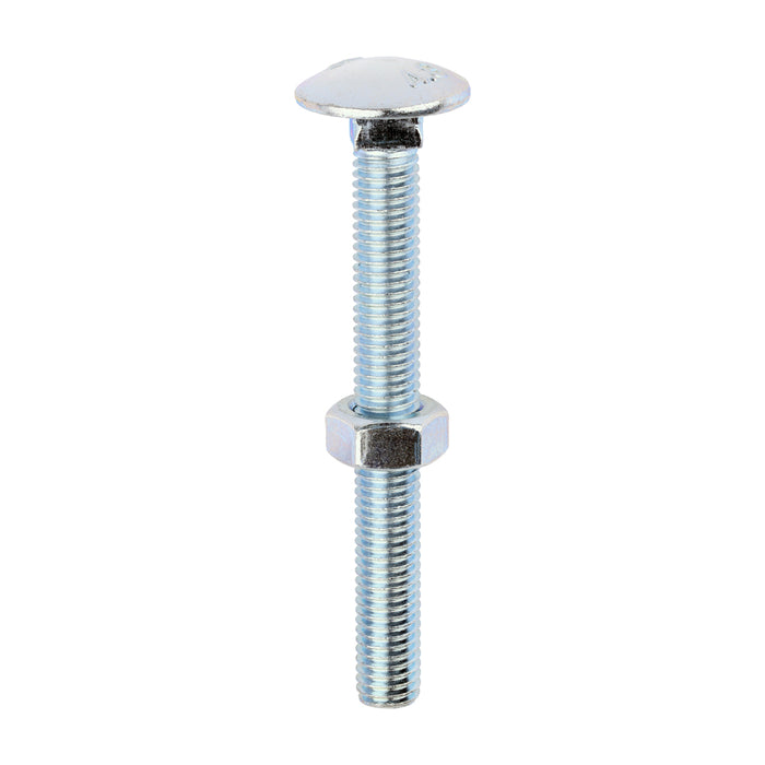 Carriage Bolts & Hex Nuts - Zinc