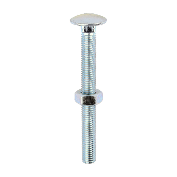 Carriage Bolts & Hex Nuts - Zinc