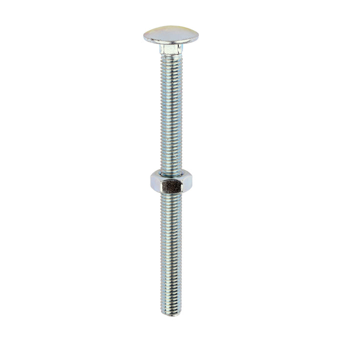 Carriage Bolts & Hex Nuts - Zinc