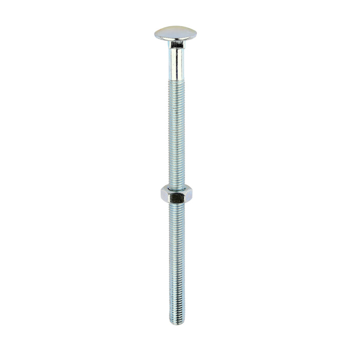 Carriage Bolts & Hex Nuts - Zinc