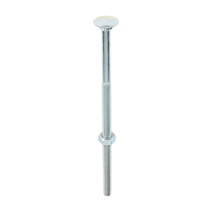 Carriage Bolts & Hex Nuts - Zinc