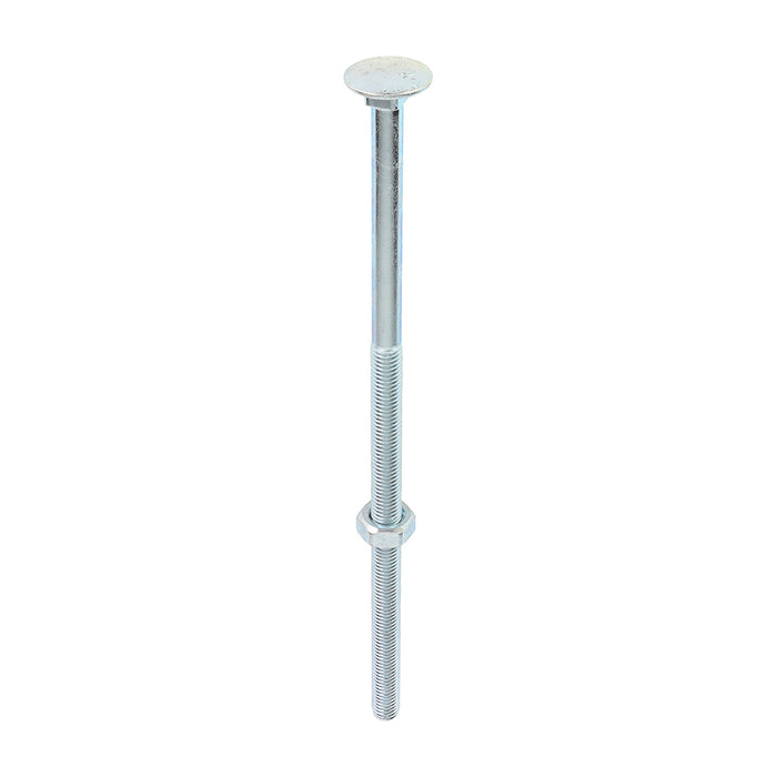 Carriage Bolts & Hex Nuts - Zinc