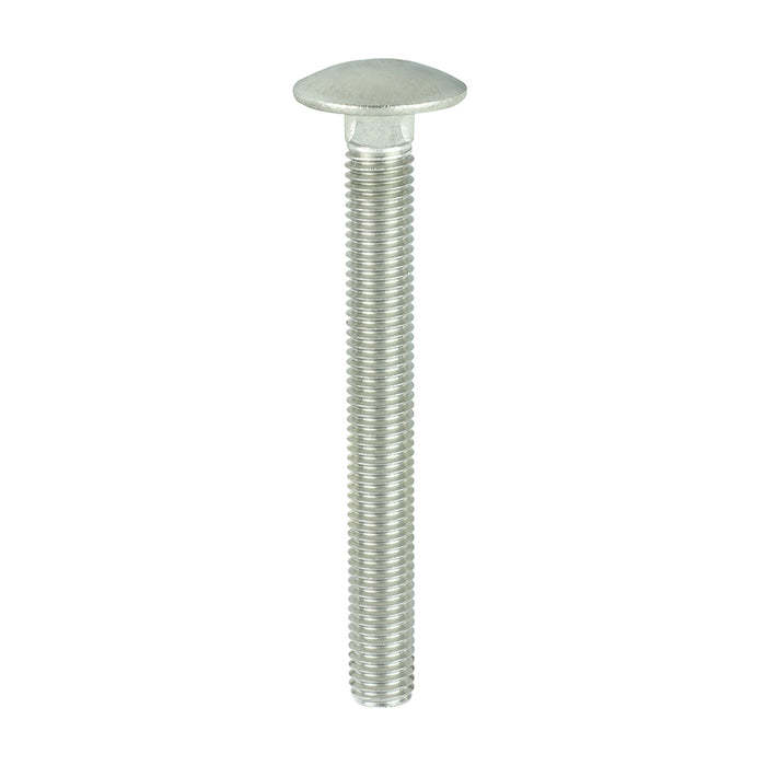 Carriage Bolts - Stainless Steel