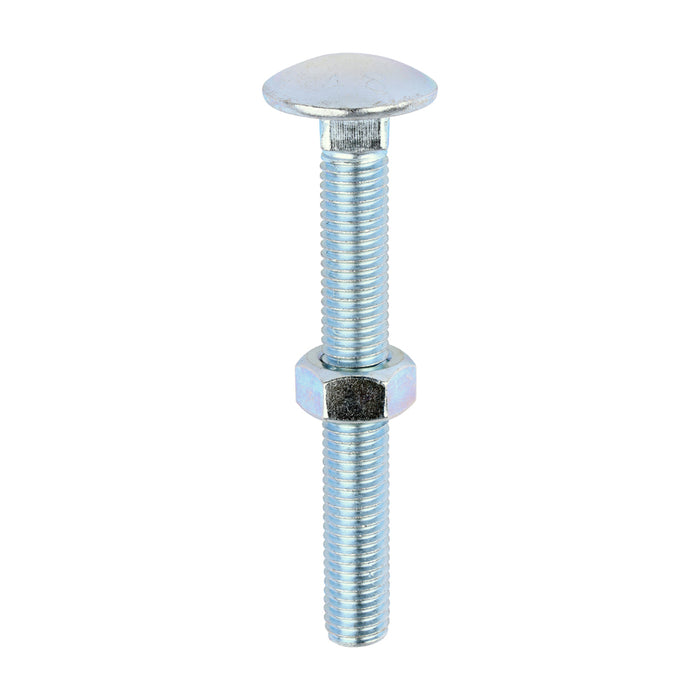 Carriage Bolts & Hex Nuts - Zinc