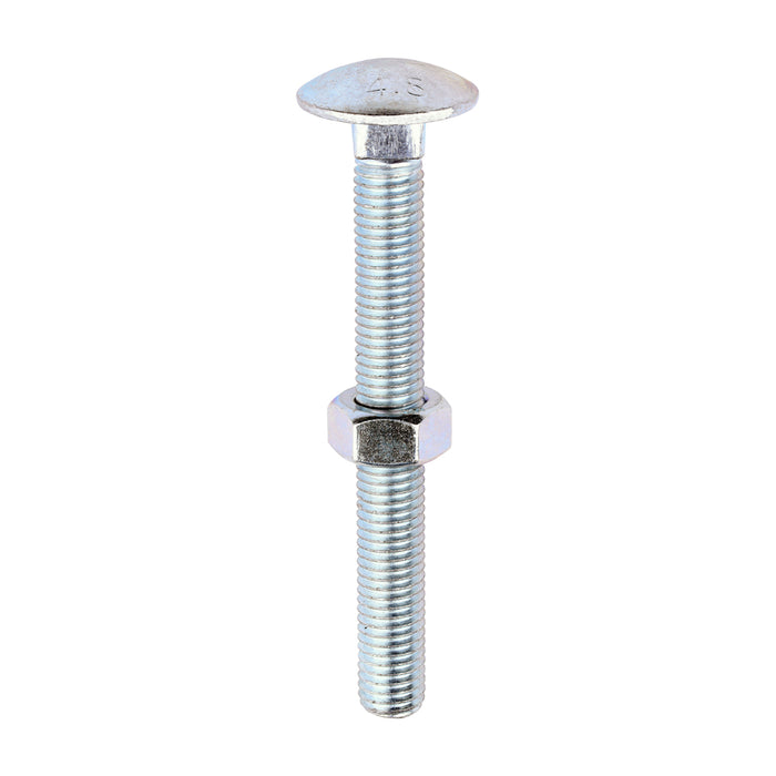 Carriage Bolts & Hex Nuts - Zinc