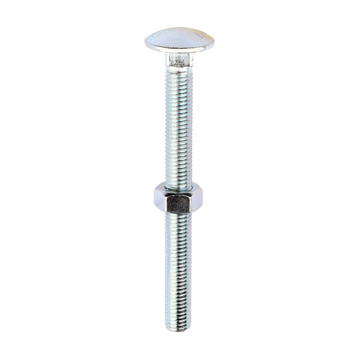 Carriage Bolts & Hex Nuts - Zinc