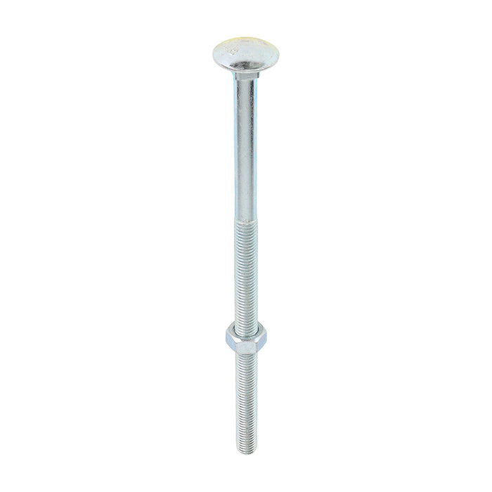 Carriage Bolts & Hex Nuts - Zinc