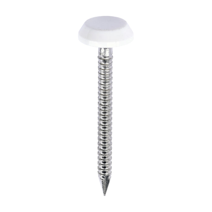 Polymer Headed Nails - A4 Stainless Steel - White