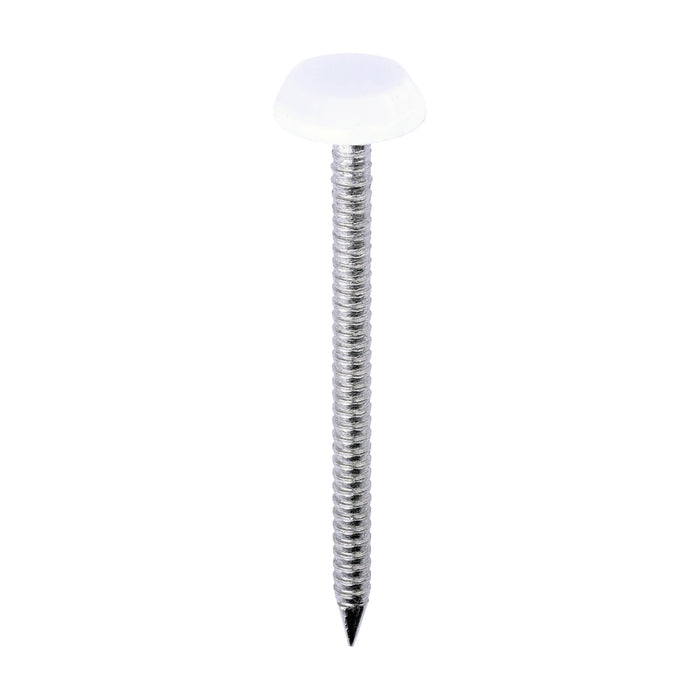 Polymer Headed Nails - A4 Stainless Steel - White