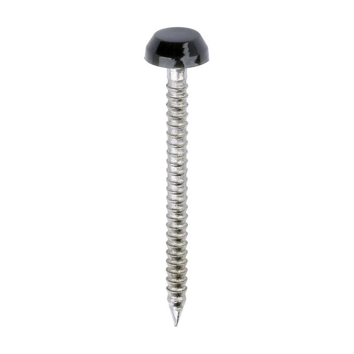 Polymer Headed Pins - A4 Stainless Steel - Anthracite Grey