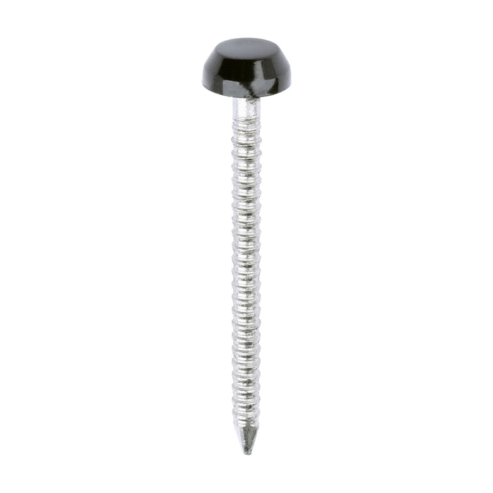 Polymer Headed Pins - A4 Stainless Steel - Black