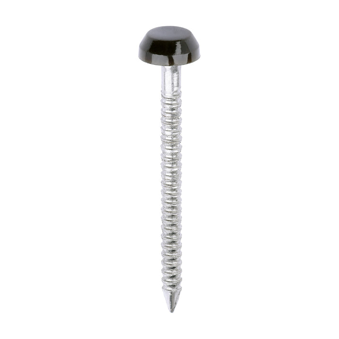 Polymer Headed Pins - A4 Stainless Steel - Mahogany