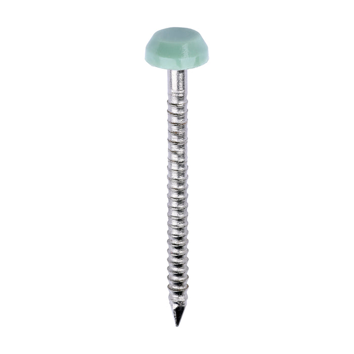 Polymer Headed Pins - A4 Stainless Steel - Chartwell Green