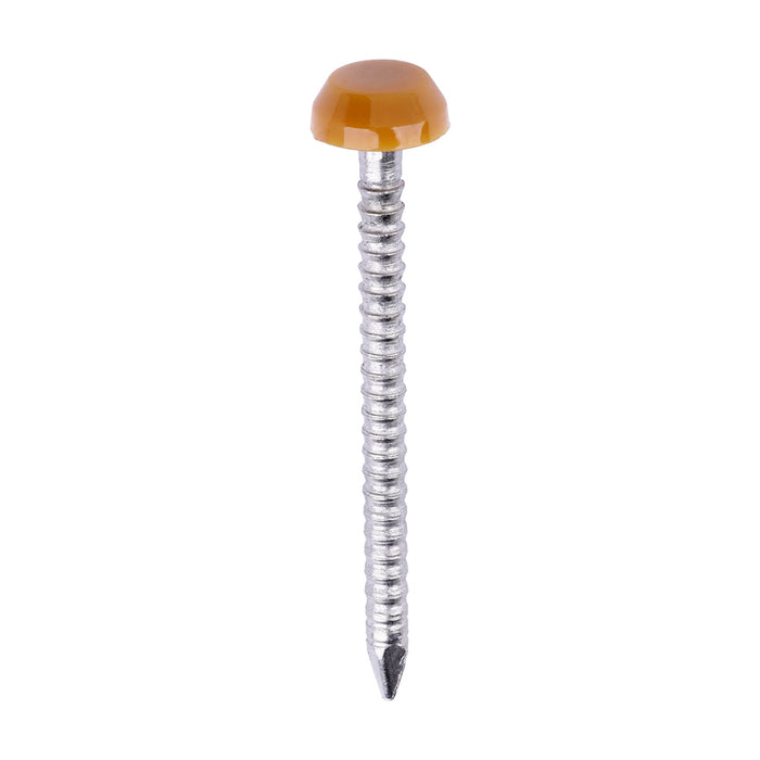 Polymer Headed Pins - A4 Stainless Steel - Oak