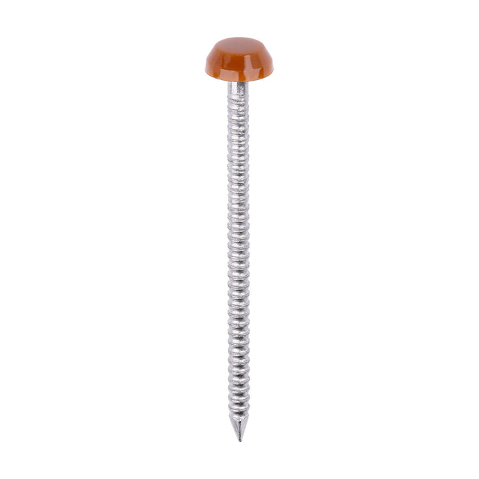 Polymer Headed Pins - A4 Stainless Steel - Clay Brown