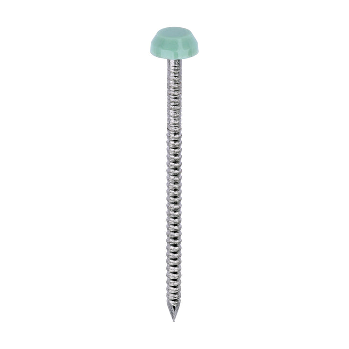 Polymer Headed Pins - A4 Stainless Steel - Chartwell Green