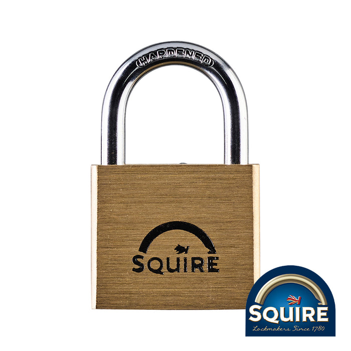 Premium Brass Lion Padlock - Stainless Steel Shackle - LN4S